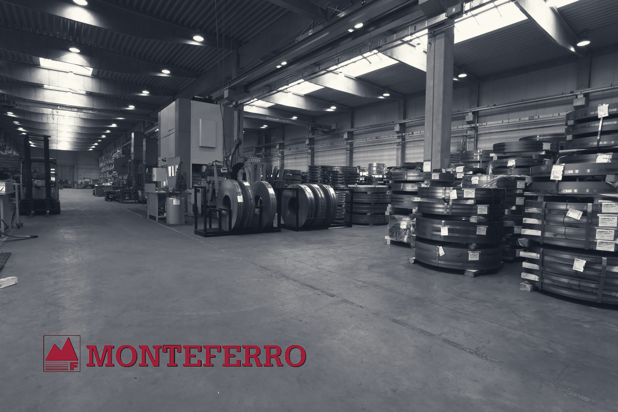 معرفی ریل آسانسور مونته فرّو